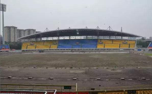 体育馆内的超绝颜值,成都双流体育场