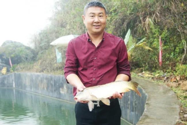 重庆养殖瘦身鱼,重庆瘦身鱼养殖