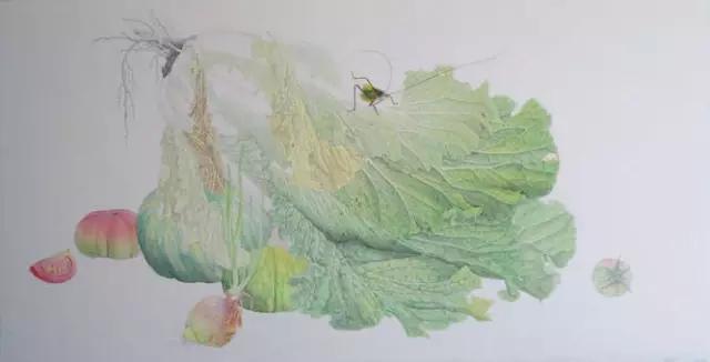 画白菜技法,3d白菜画
