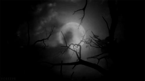 成都风水先生揭秘,成都天府风水大师