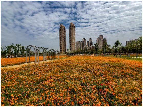 武汉市硚口区汉江湾高清图,硚口区城投汉江湾工程最新消息