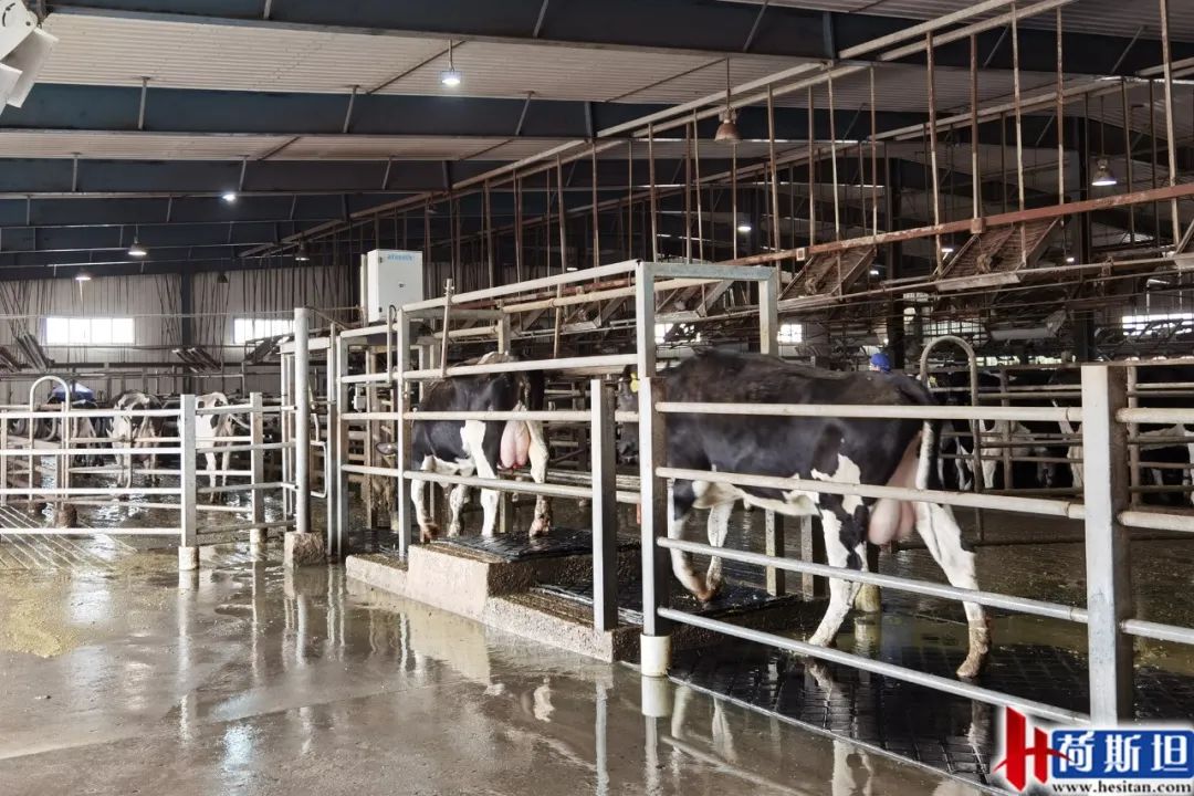 走进乐源君邦和邢台君兴丨中瑞项目她来了