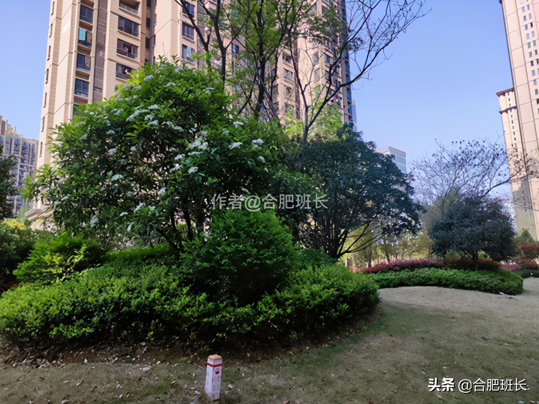 合肥滨湖新区四十六中附近,滨湖四十六中南校区有万科楼盘吗