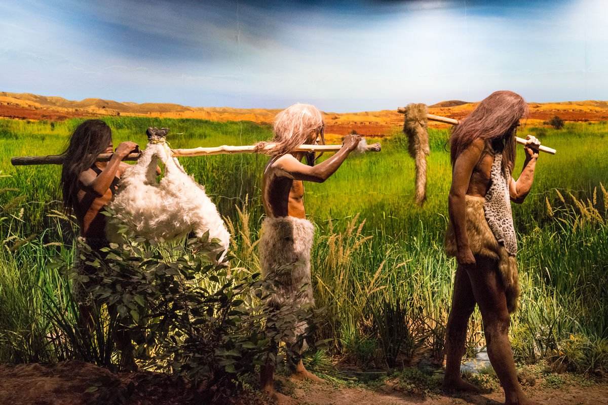 阴毛、腋毛和头发，人类在进化中为何保留了这几个部位的毛发？