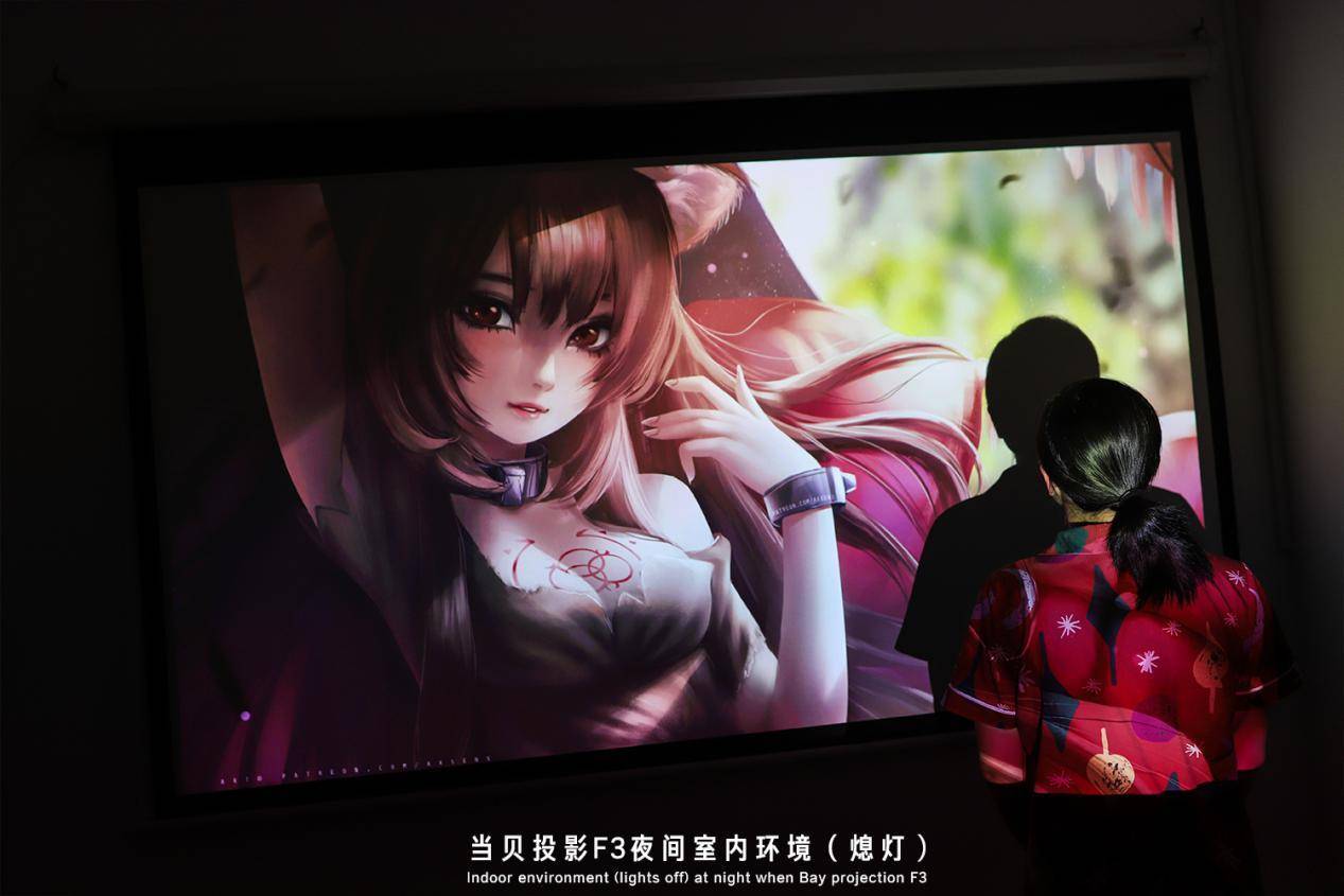 萌新扫盲贴:家用投影仪与商务投影仪的区别在那,别傻傻分不清