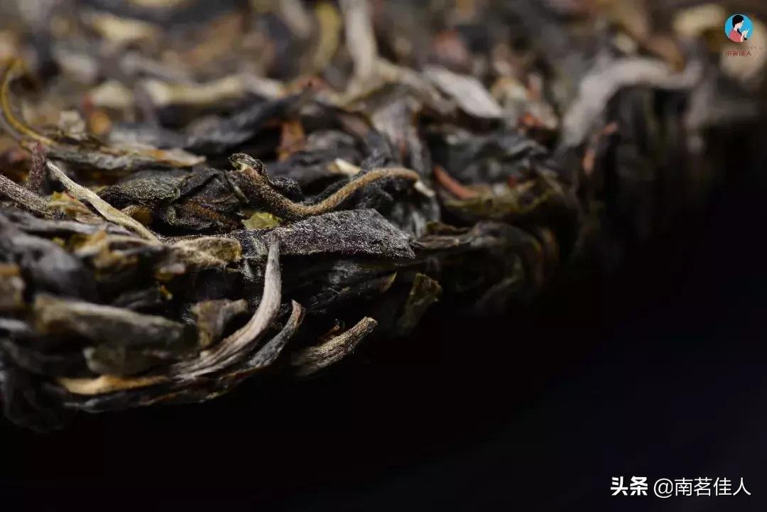 普洱茶生虫子还能喝吗,普洱茶有虫子怎么去除