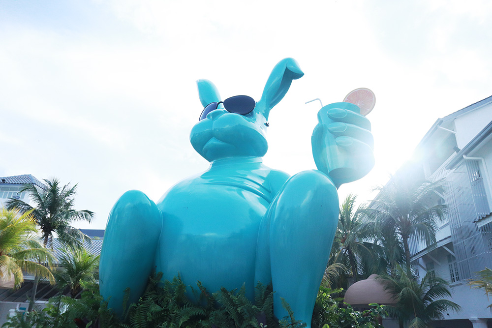 在马来西亚感受集市的乐趣,在马来西亚体验纽西兰