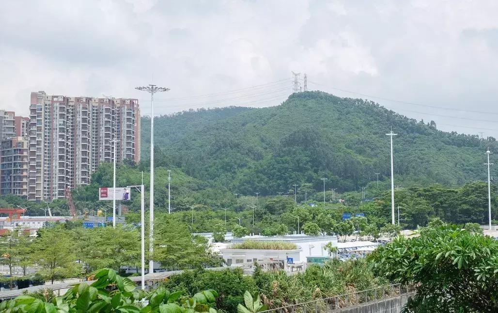 民治片区有未来吗,民治有什么特色