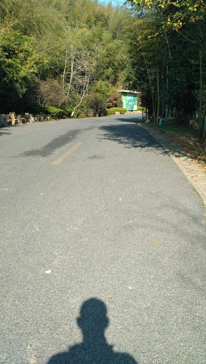 风景秀丽的宜兴竹海,漫步竹林呼吸大自然的清新