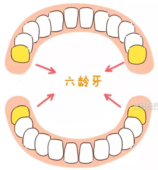 姚晨自曝儿子换牙问题，很多孩子中招！牙齿健康，家长们都要注意