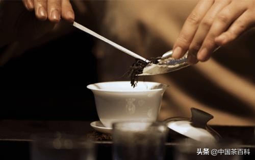 新手买茶器的几大禁忌,新手入门必买茶器