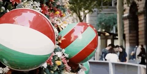 悉尼圣诞节美食攻略,悉尼正能量