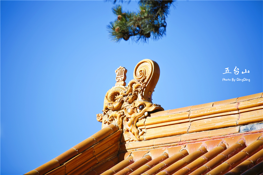 去五台山清凉山需要门票吗,夏日避暑胜地之五台山旅游攻略