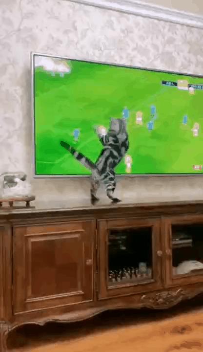 <html>
<head><title>502BadGateway</title></head>
<body>
<center><h1>502BadGateway</h1></center>
<hr><center>nginx</center>
</body>
</html>
<!--apaddingtodisableMSIEandChromefriendlyerrorpage-->
<!--apaddingtodisableMSIEandChromefriendlyerrorpage-->
<!--apaddingtodisableMSIEandChromefriendlyerrorpage-->
<!--apaddingtodisableMSIEandChromefriendlyerrorpage-->
<!--apaddingtodisableMSIEandChromefriendlyerrorpage-->
<!--apaddingtodisableMSIEandChromefriendlyerrorpage-->
