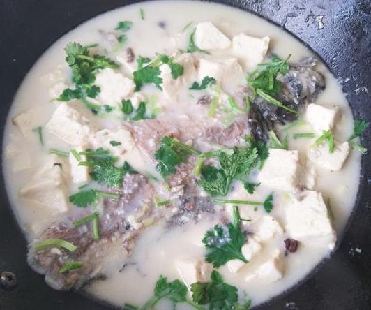 胖头鱼炖豆腐和鲫鱼炖豆腐哪个好,鲫鱼炖豆腐怎么做最好吃