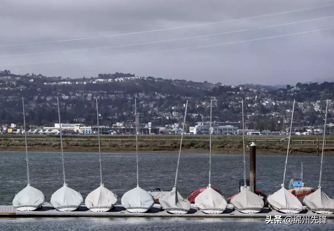 美国高校招生舞弊,美国高校招生舞弊案