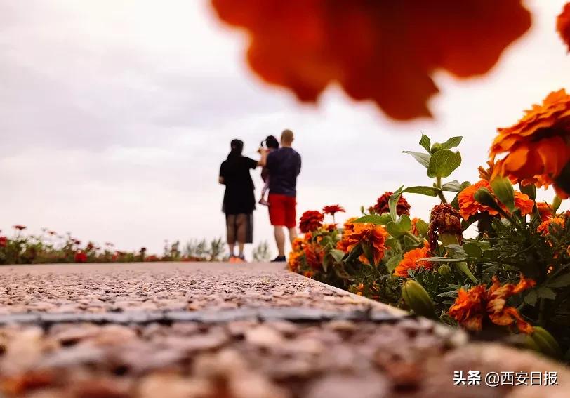 西安公园开放通知最新,西安附近公园免费景点