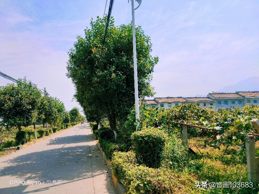 美丽的营头镇,我童年的天堂