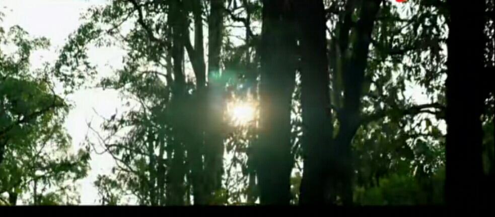 阳光直射的后果,阳光直射对儿童眼睛有什么伤害