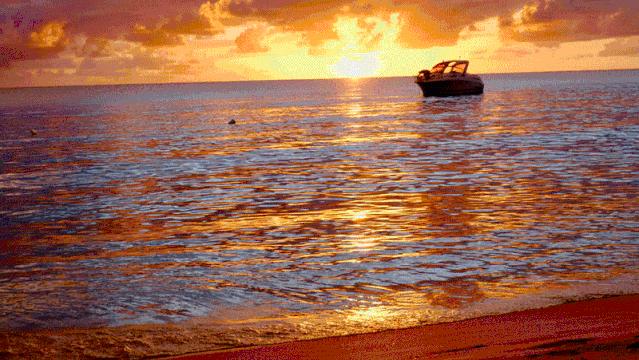 他35岁裸辞，搭顺风船环游世界，网友：还可以这么玩？