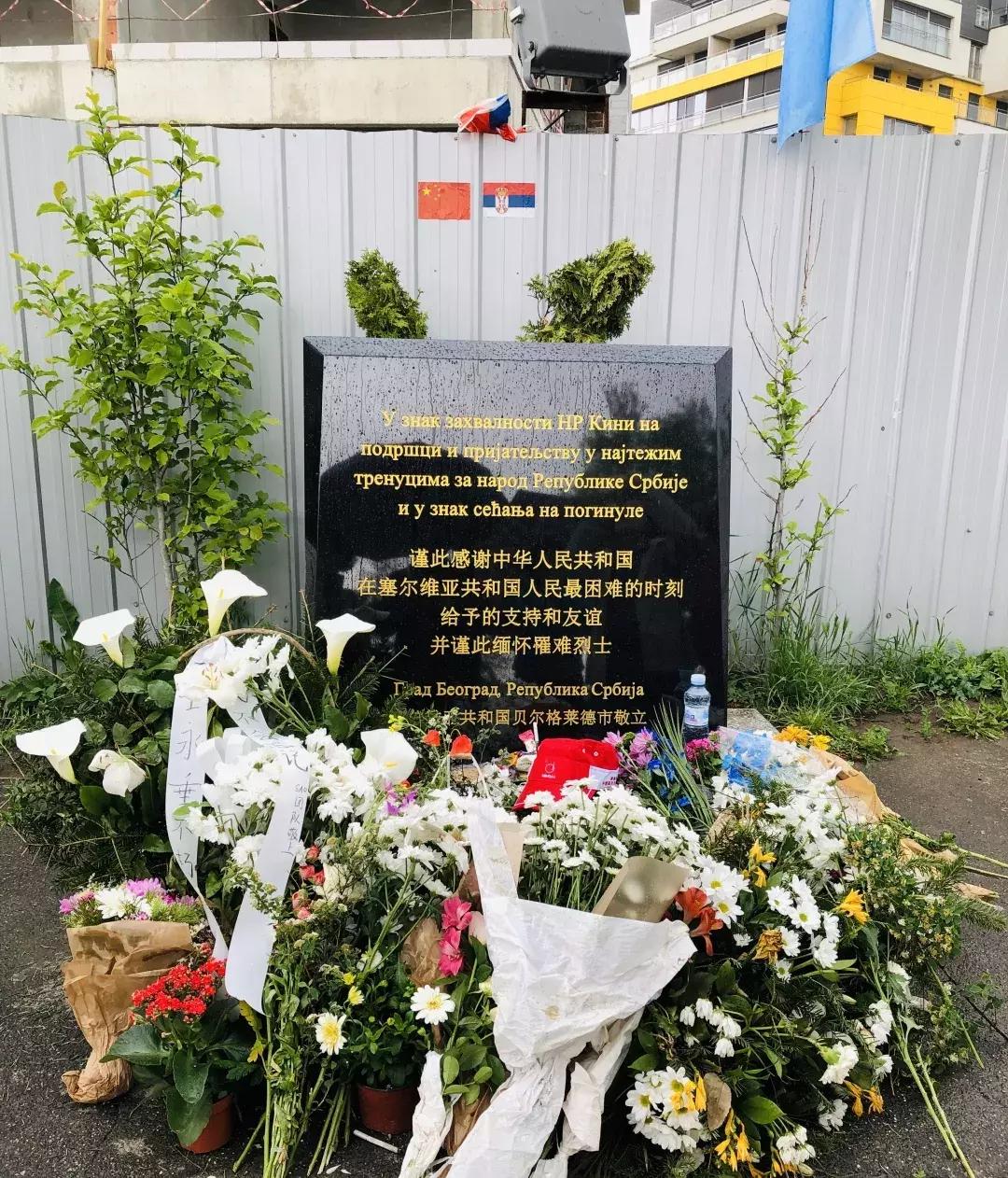 白本护照出境法国旅游免签吗,白本护照旅游去哪个国家比较好