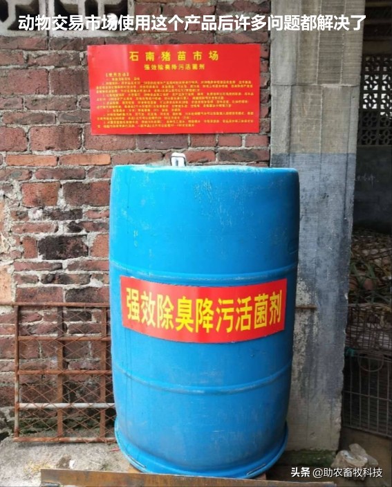 强力除臭除菌剂,脏水处理除臭菌剂厂家推荐