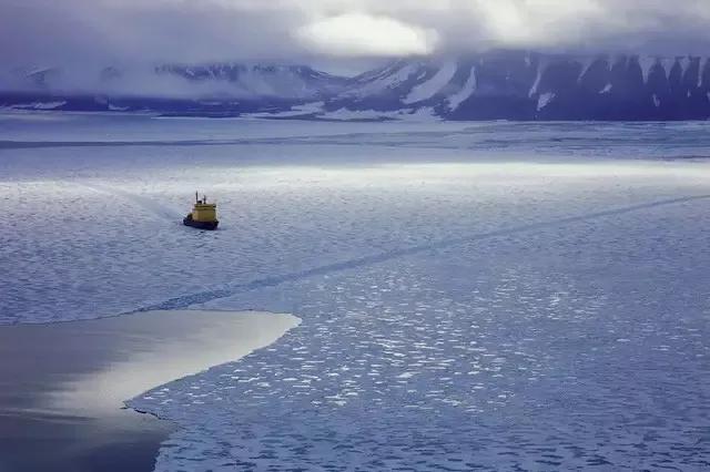讨厌的蚊子在哪里,讨厌的蚊子歌曲