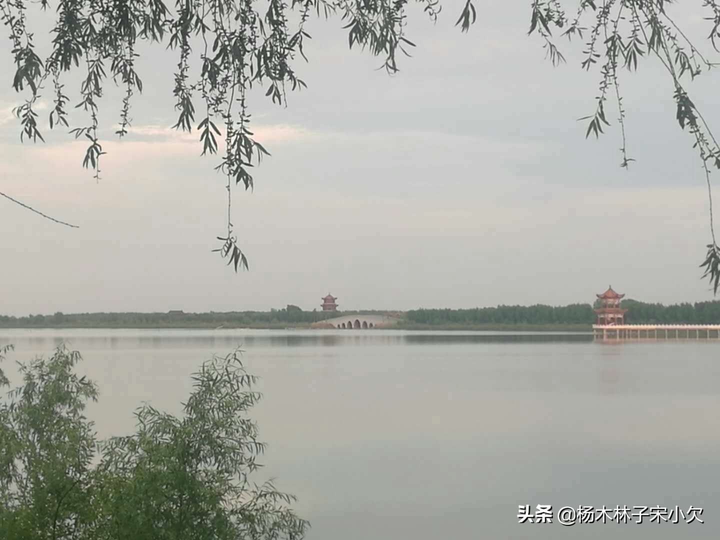 人类最大规模的*杀屠**,是房思琪式的*暴强**