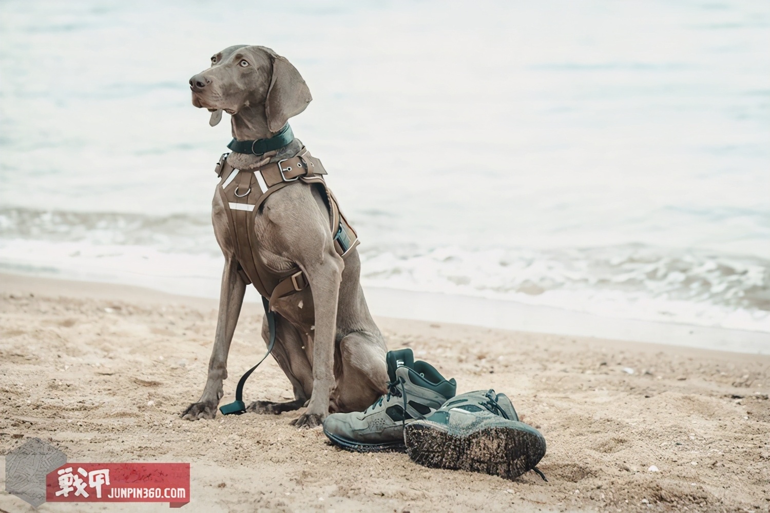 bates军靴,bates极光多地形运动作战靴