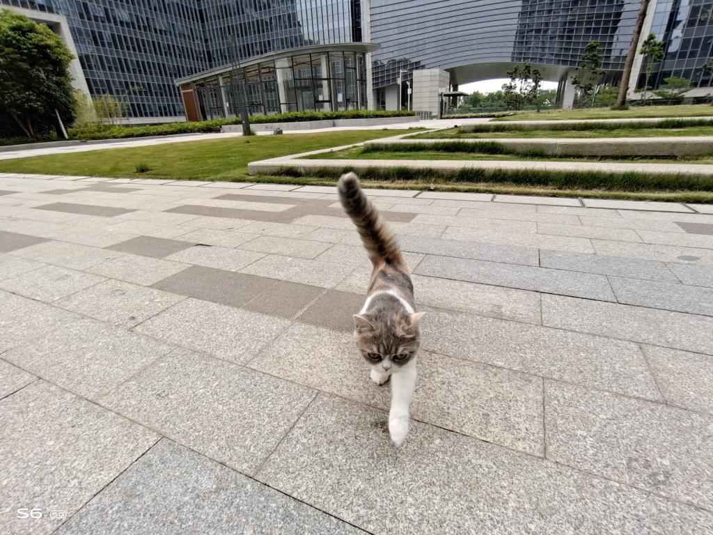 小扎测评|vivoS6:拍照时握在手里的小确幸