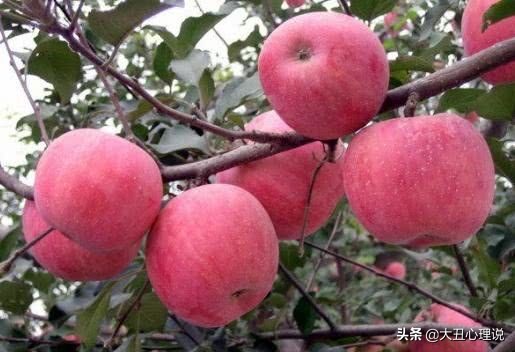 心理测试测你贵人是谁,心理测试你觉得哪个笑得最开心