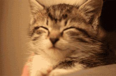 十几岁才发现弱视弱视可以治愈吗,好好的眼睛怎么会变成大小眼