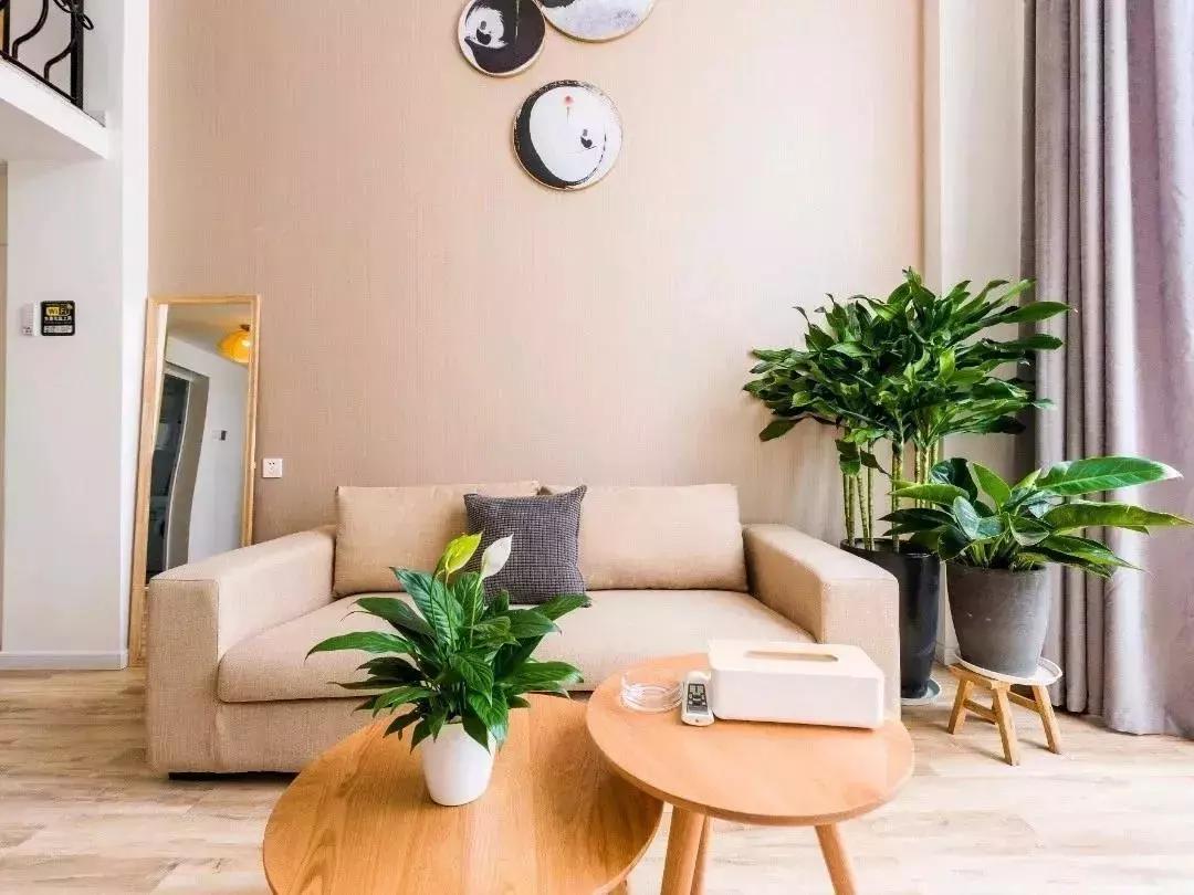 成都天府广场民宿六人住,天府旅游民宿