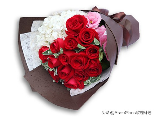给女朋友送花送什么花最好,给女朋友生日送花送什么花
