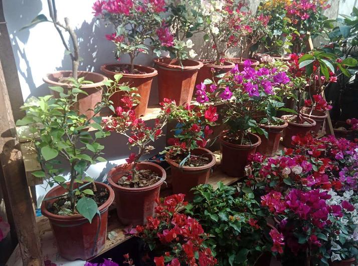 家里没什么工具如何制作花架,制作铁艺花架的工具