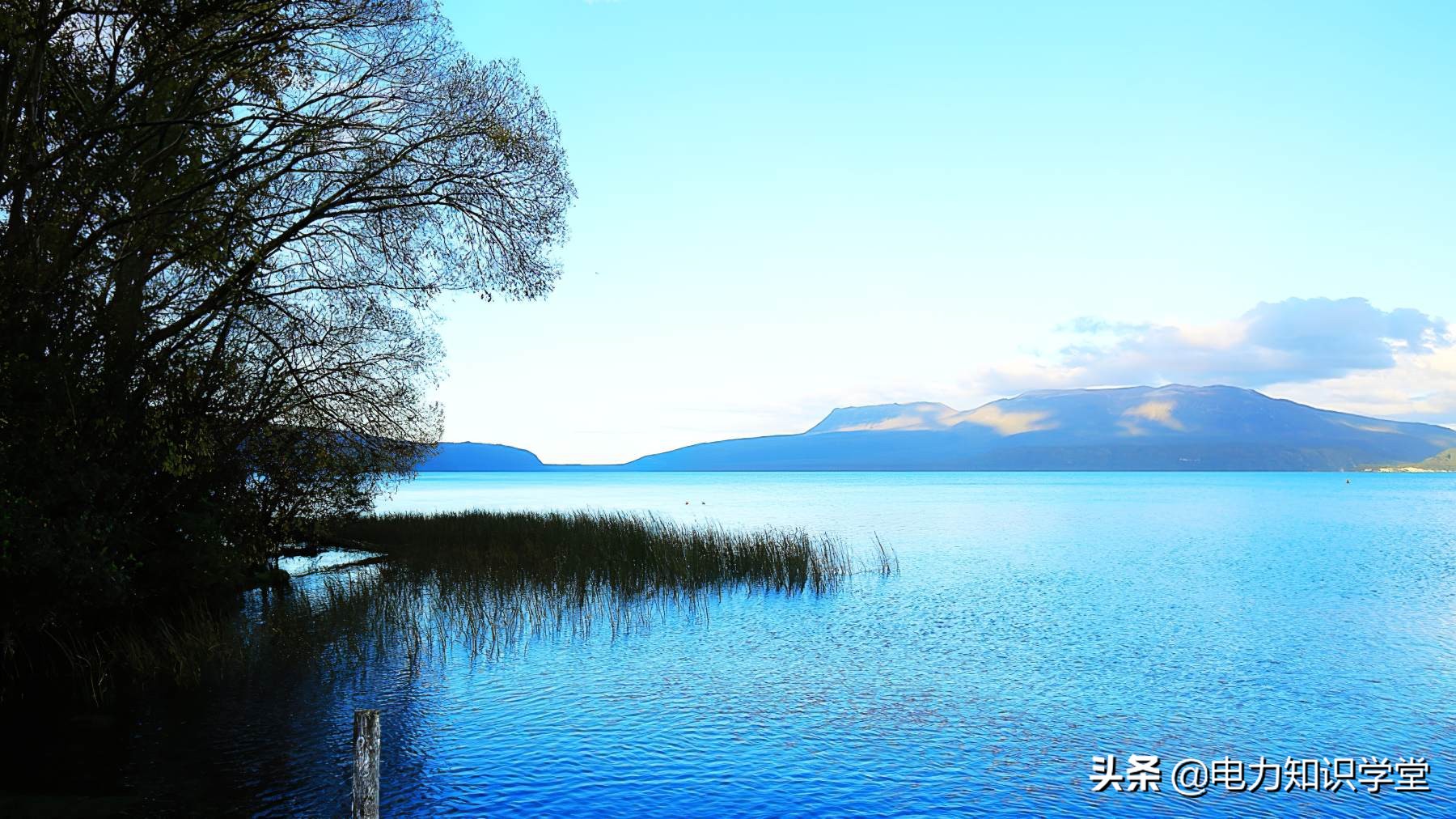 火力发电厂一吨煤消耗多少水,燃煤发电一度电要耗费多少煤