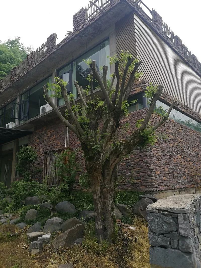 宣纸具有什么好的特点,宣纸有哪些常识