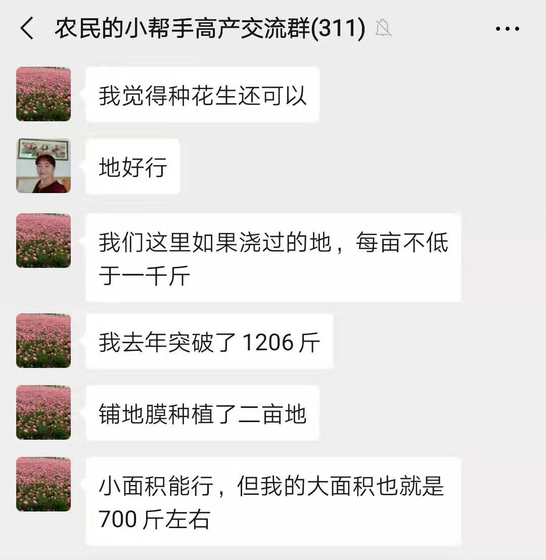 花生如何达到亩产2000斤,花生亩产千斤难不难