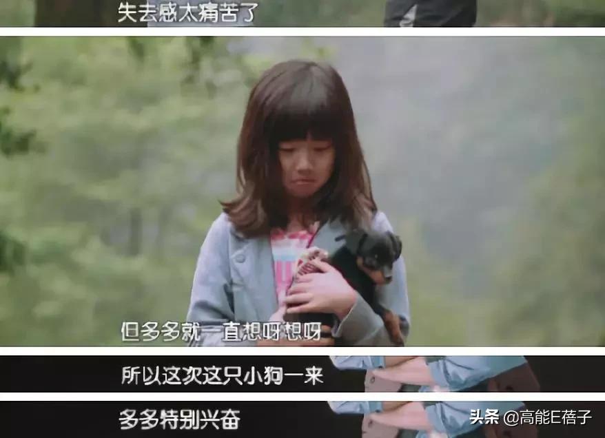 复仇方式电影,最狠的复仇方式电影