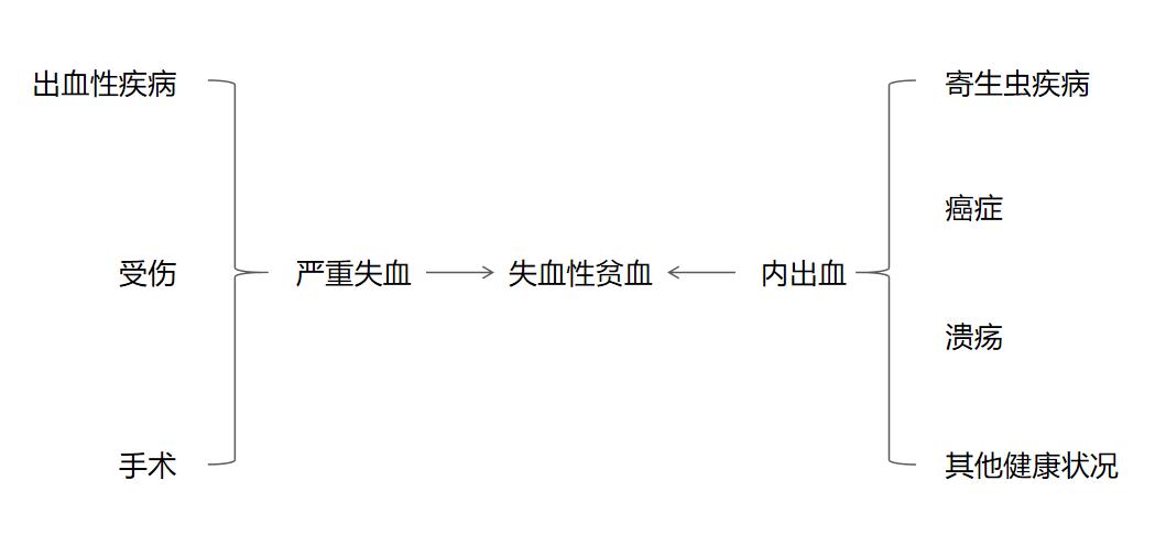 狗狗肾病贫血症状,狗狗贫血导致并发症还能治好吗