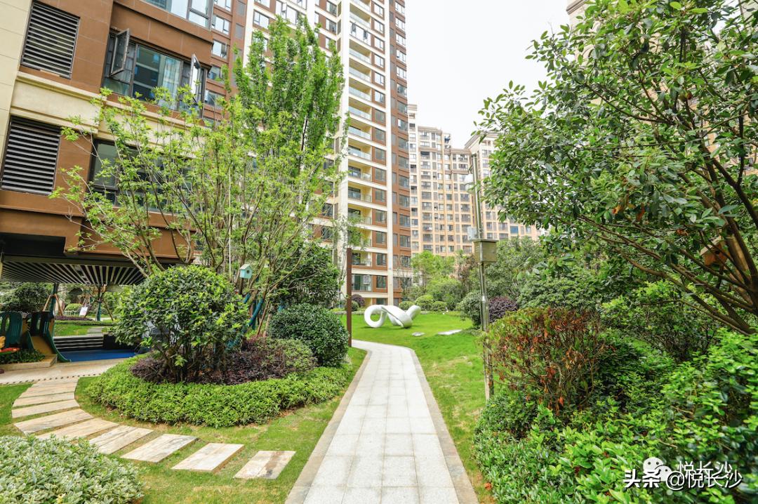 同价位，选精装现房or毛坯期房？还有德思勤商圈加持，近青园小学