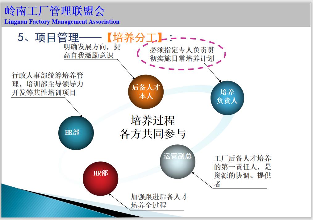 人才培养方案工作手册,人才库人才培养规划表