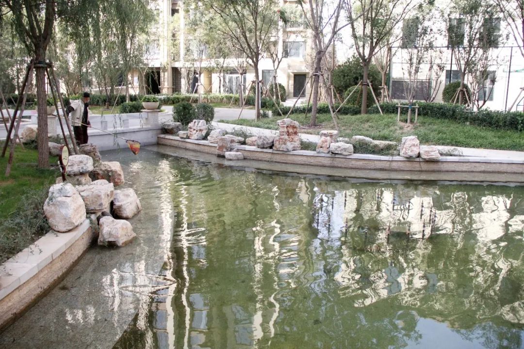 实探一线湖景房,石家庄房产探盘排行榜前十名