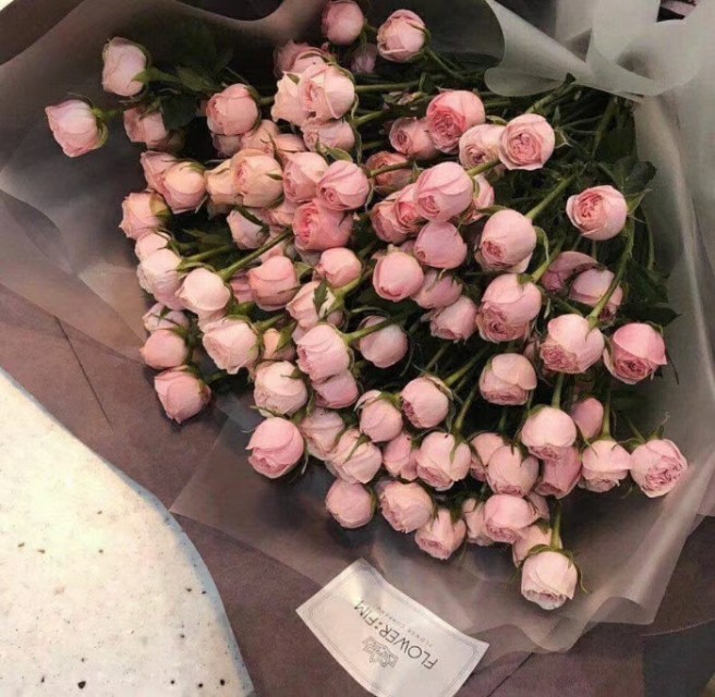 上升星座太阳星座月亮星座的关系,怎么查太阳星座上升星座月亮星座