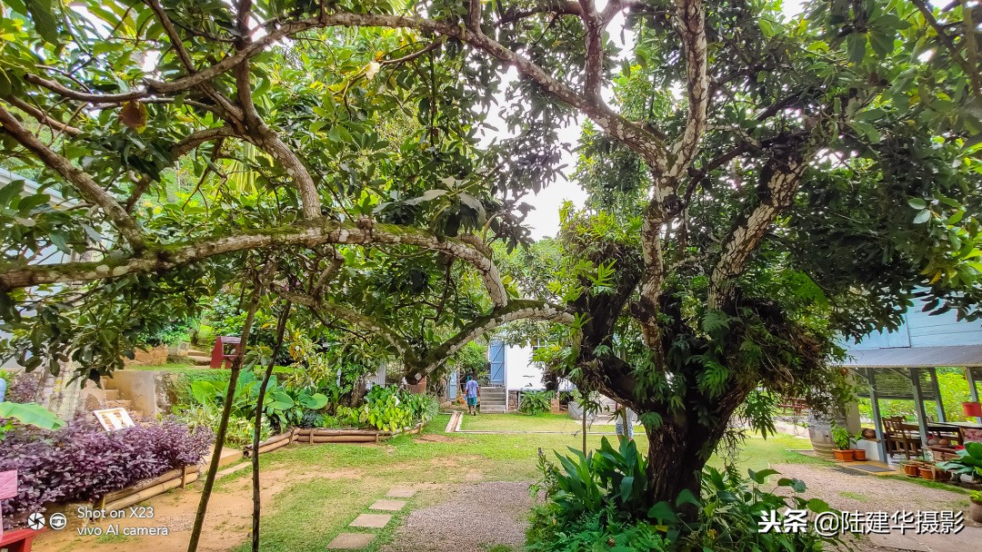 塞舌尔最值得去的岛屿,塞舌尔伊甸园在哪里