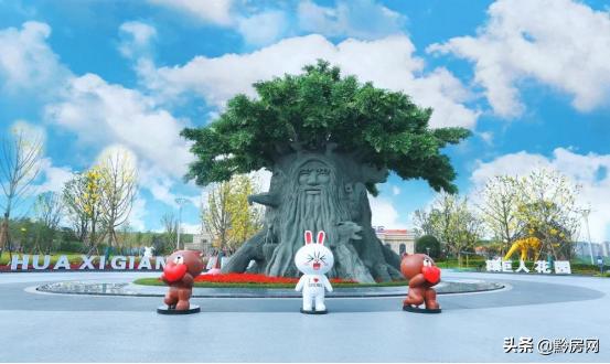 贵阳宜居的房子,宜居贵阳选哪个区