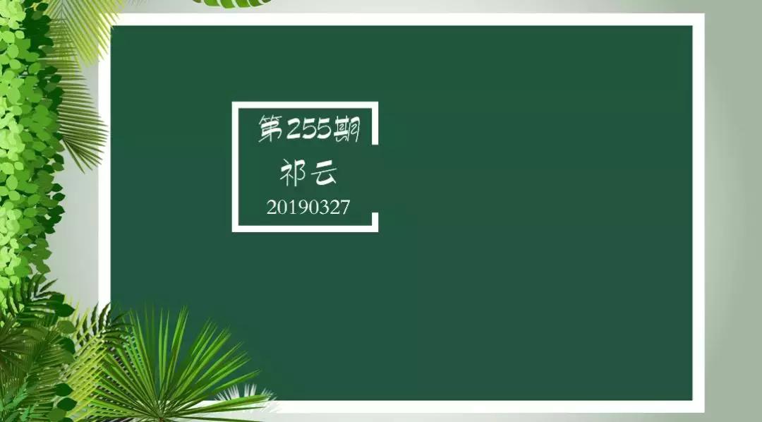 广大中小学生作文能力，短期内猛突破、猛提升不可以吗？