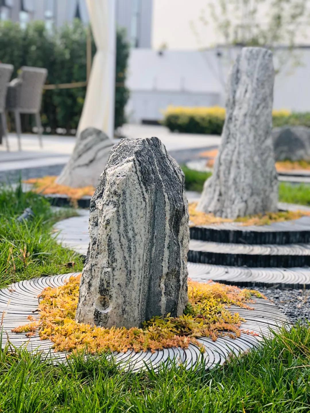 马云谈挖阿里巴巴的人,马云为阿里巴巴做出的付出