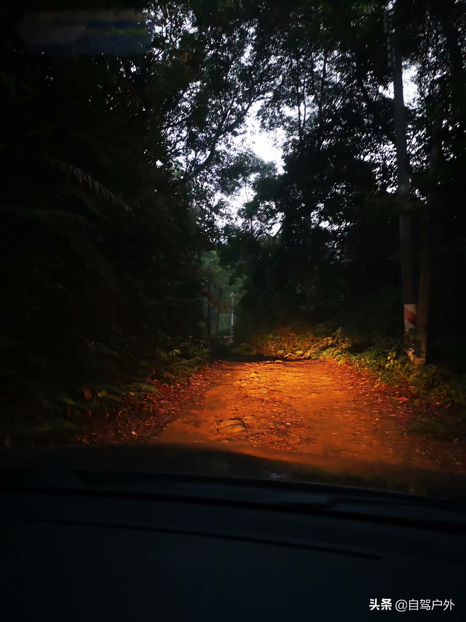 惠州明月山庄露营,罗浮山休闲竹林露营地