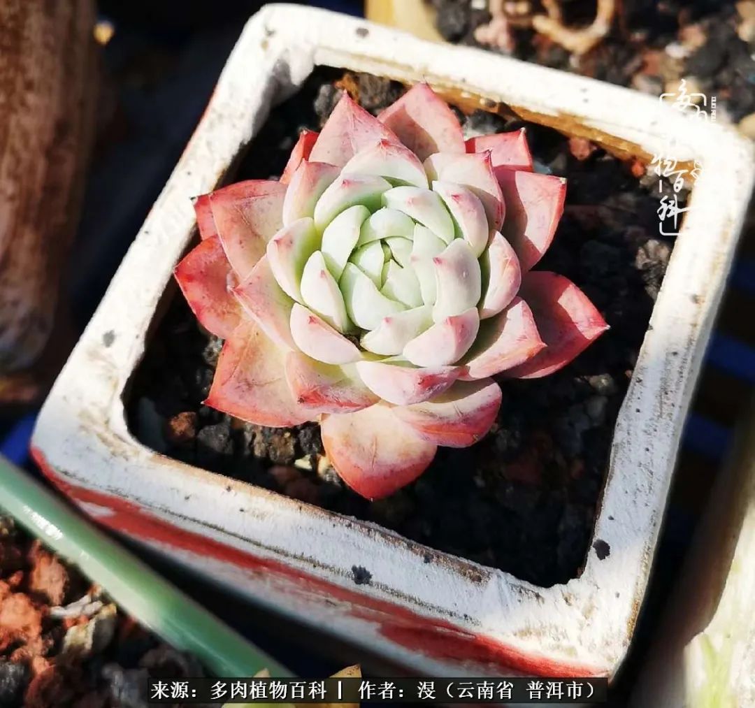 风过留痕讲的啥,风过留痕朗诵